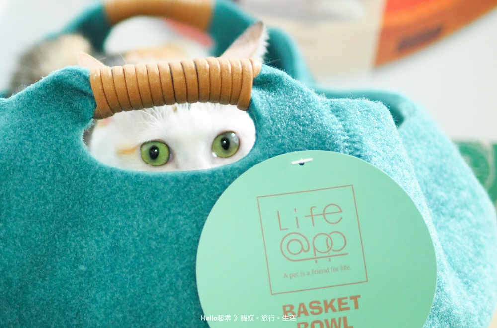 貓籃子側面.jpg 貓籃子側面.jpg