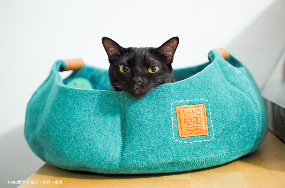 貓籃子正面.jpg 貓籃子正面.jpg