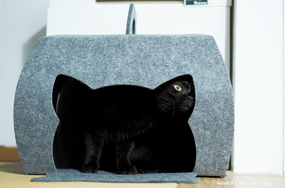 貓籃子蛋糕盒.jpg 貓籃子蛋糕盒.jpg