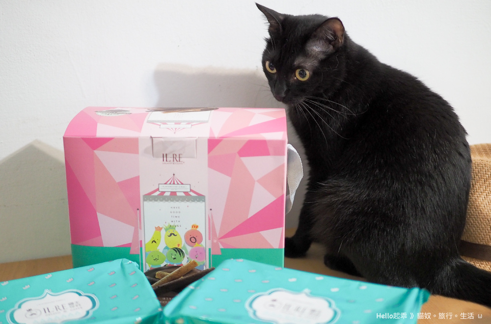 彌月試吃國王你好蛋捲.jpg 彌月試吃國王你好蛋捲.jpg