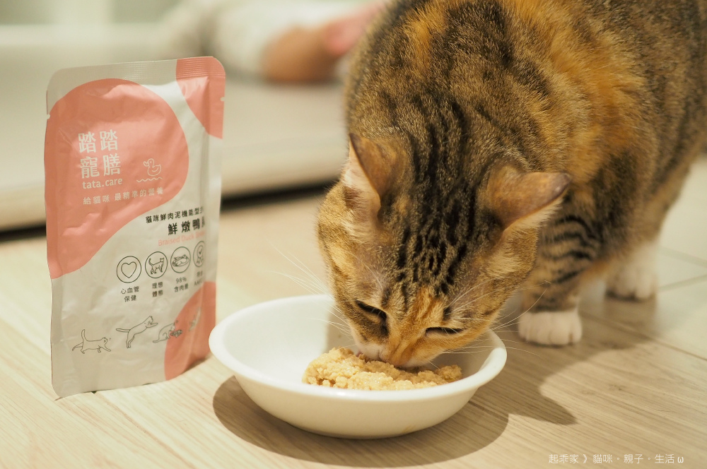 踏踏寵膳首圖.jpg 踏踏寵膳首圖.jpg