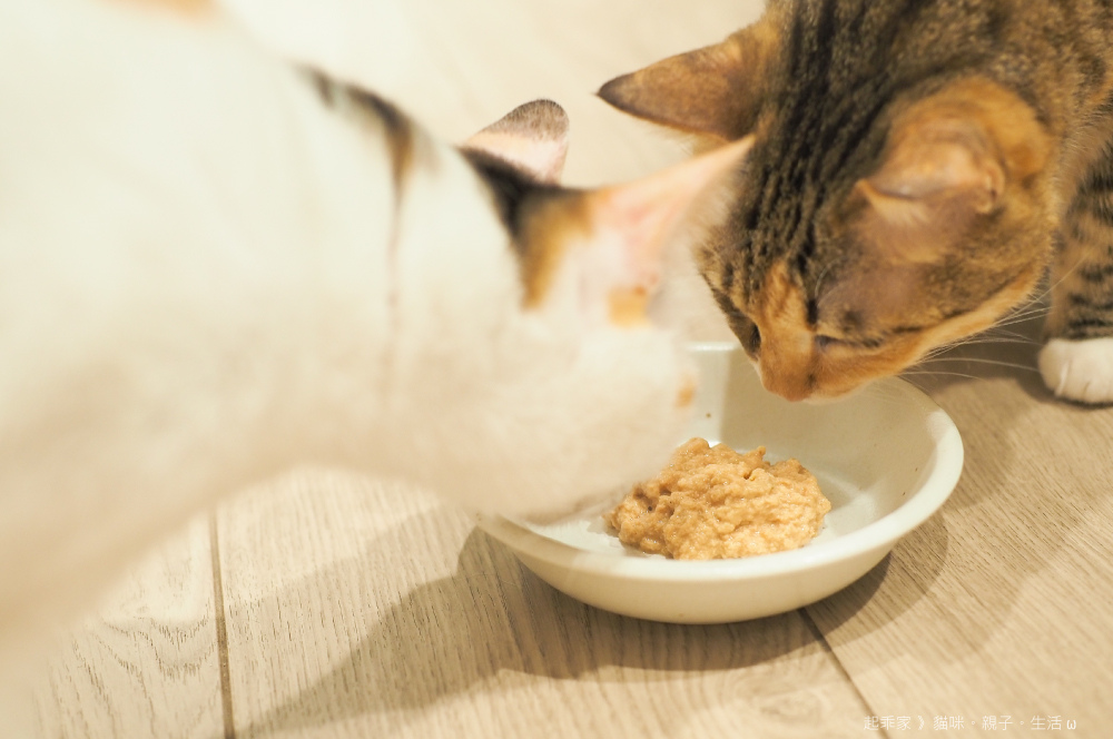 踏踏寵膳喵貓起乖2.jpg 踏踏寵膳喵貓起乖2.jpg