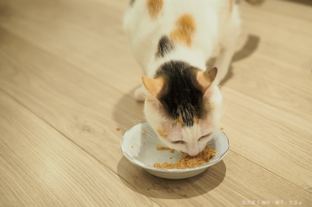 踏踏寵膳起乖2.jpg 踏踏寵膳起乖2.jpg