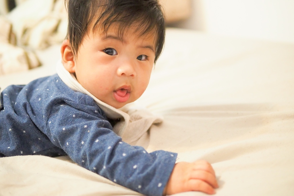 140987693_930741611087329_6240167859927119568_o.jpg 140987693_930741611087329_6240167859927119568_o.jpg