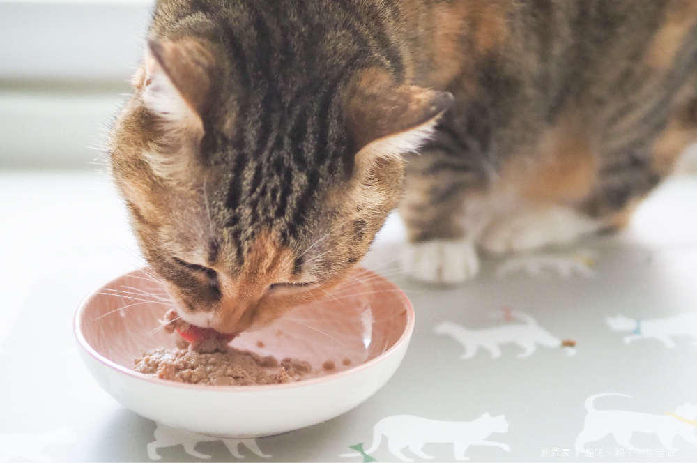 喵貓試吃3.jpg 喵貓試吃3.jpg