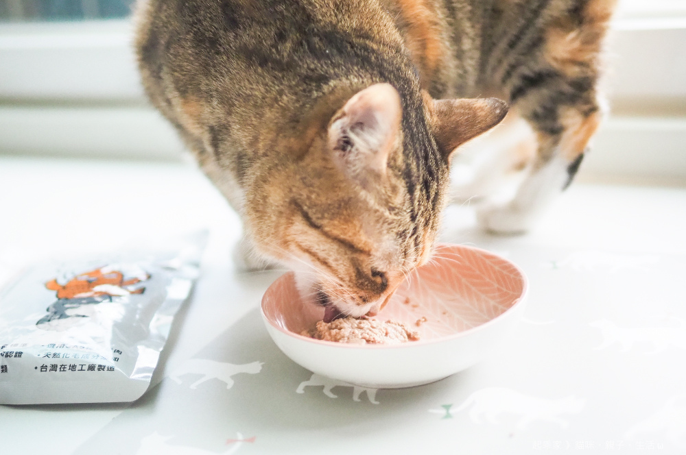 喵貓試吃4.jpg 喵貓試吃4.jpg