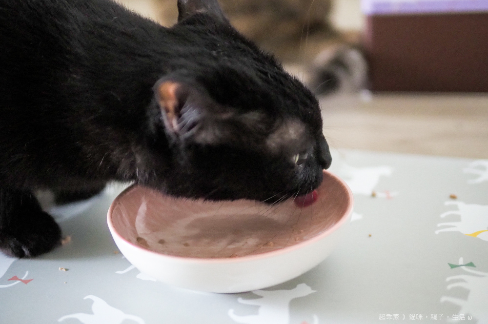 黑米試吃.jpg 黑米試吃.jpg