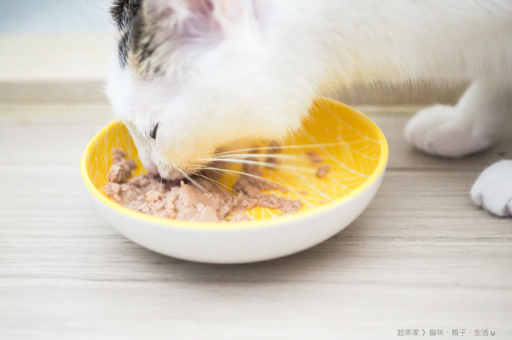 起乖試吃.jpg 起乖試吃.jpg