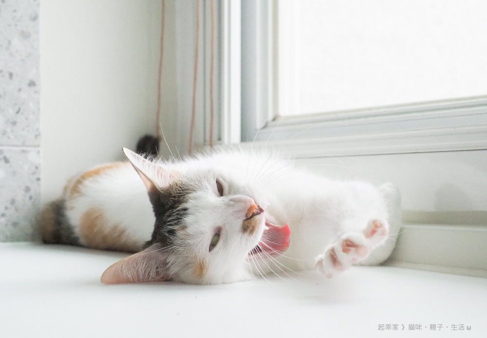 首圖.jpg 首圖.jpg