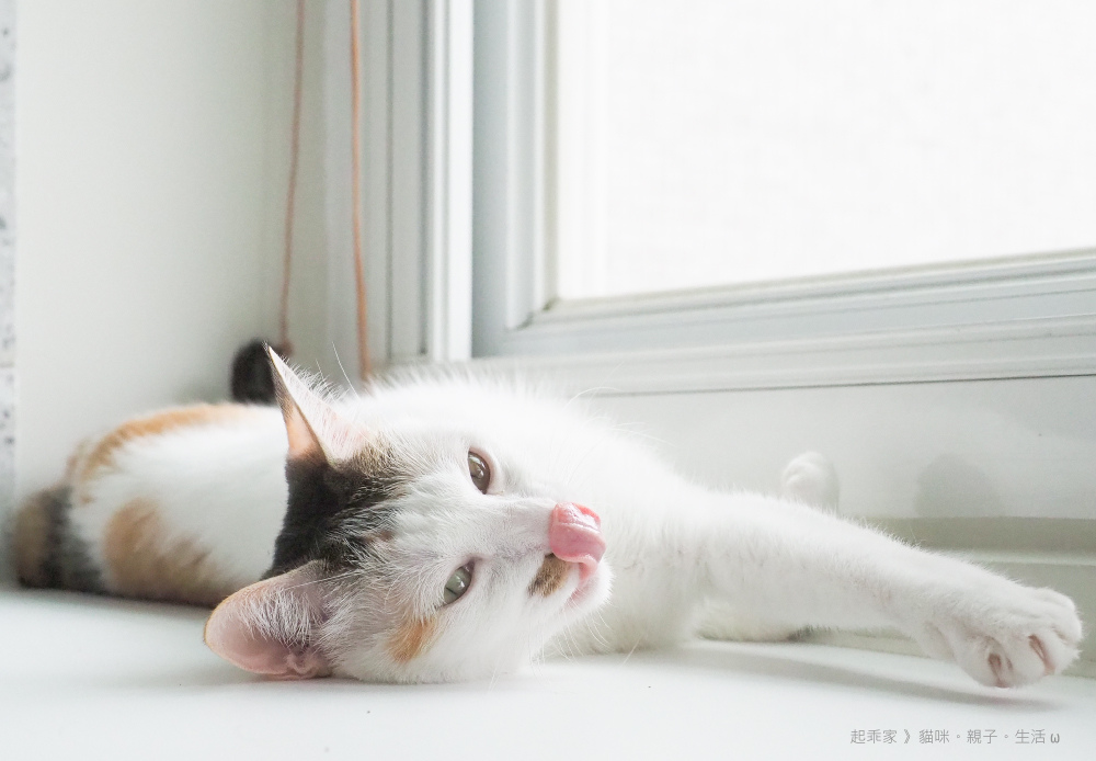 起乖.jpg 起乖.jpg