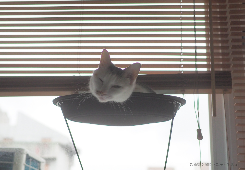 吊床起乖.jpg 吊床起乖.jpg