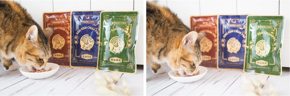 喵貓進食組圖.jpg 喵貓進食組圖.jpg