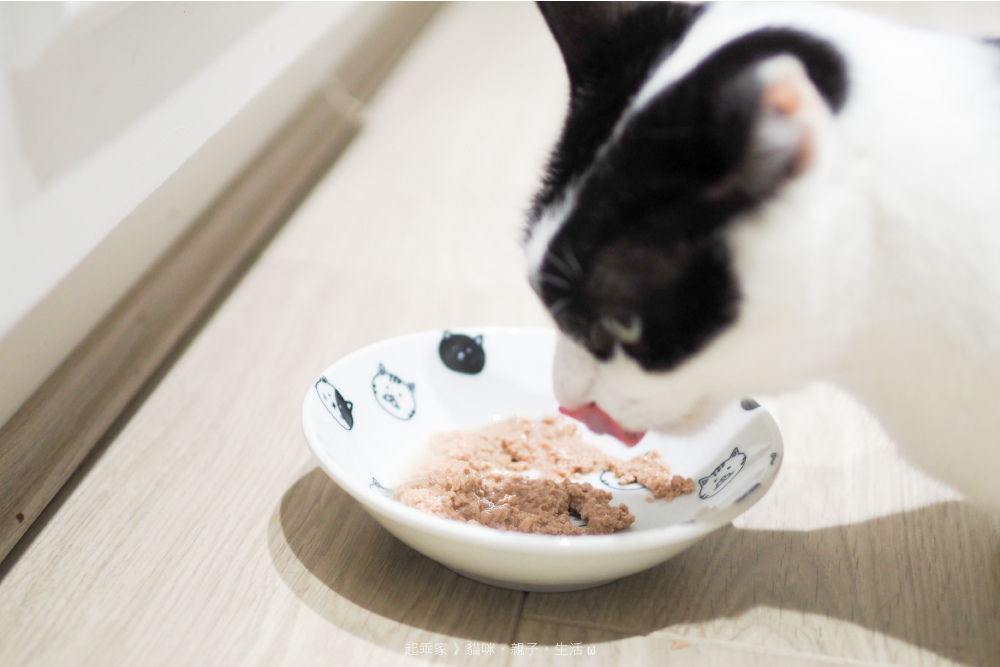 哈幾進食.jpg 哈幾進食.jpg