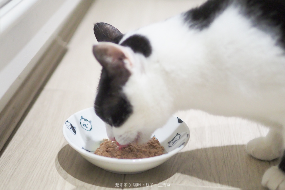 哈幾進食2.jpg 哈幾進食2.jpg