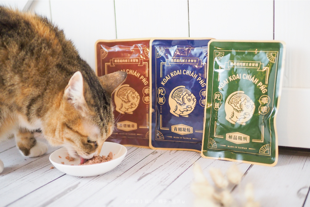 喵貓進食2.jpg 喵貓進食2.jpg