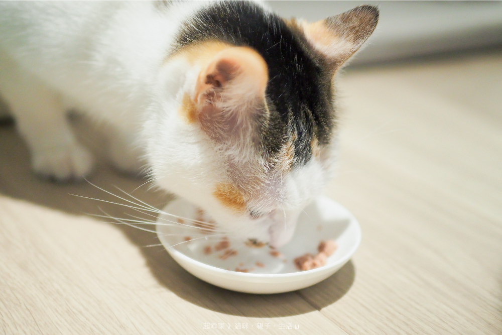 起乖吃完.jpg 起乖吃完.jpg