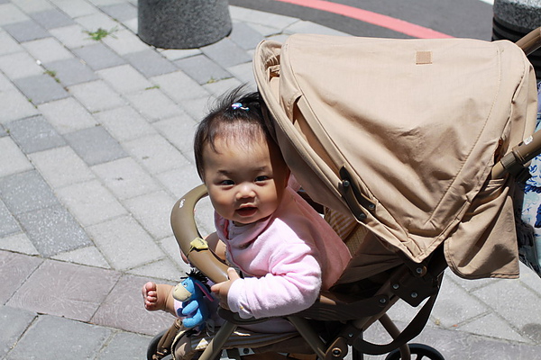 IMG_6104_大小.JPG