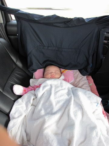IMG_1703_大小.JPG