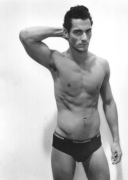 dolcegabbana_davidgandy.jpg