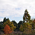 新社莊園 (37).jpg