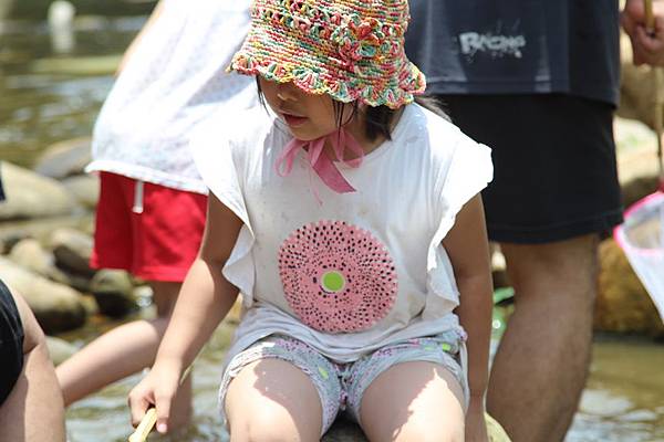 露邊攤桃源谷龍山園050.JPG