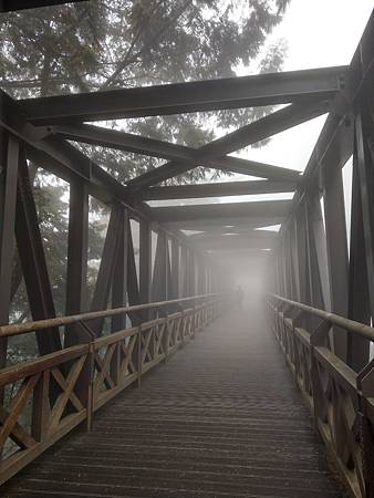 IMAG8654.jpg IMAG8654.jpg