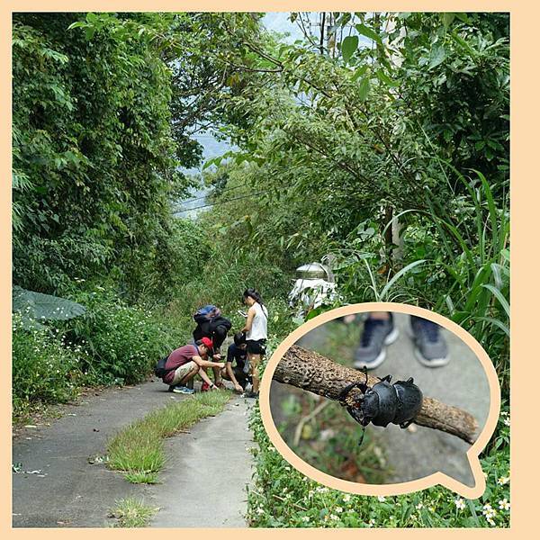 12043071_10200672149482961_8093133657470264797_n