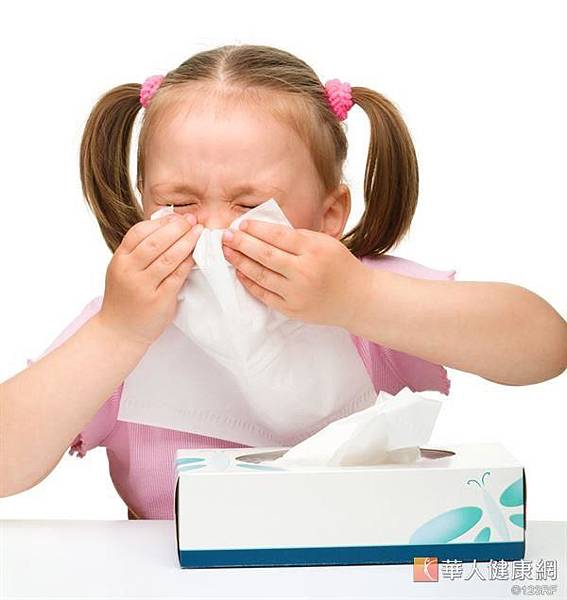 小兒免疫：塵蟎引發9成過敏 防蟎勝過抽血檢驗