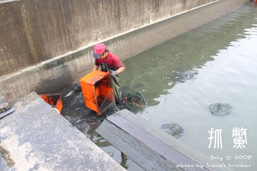 桶子放滿了就到進袋子裡.jpg