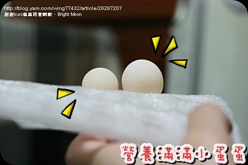 kuni麻麻鱉蛋_04.jpg kuni麻麻鱉蛋_04.jpg