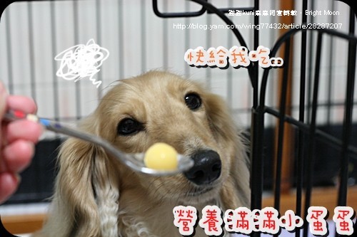 kuni麻麻鱉蛋_10.jpg kuni麻麻鱉蛋_10.jpg