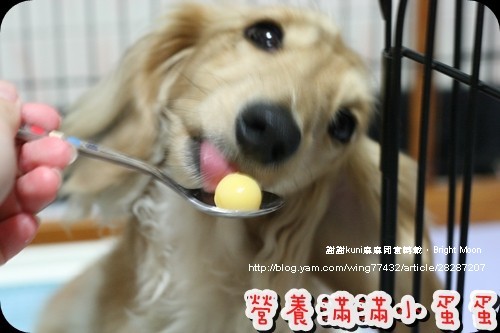 kuni麻麻鱉蛋_11.jpg kuni麻麻鱉蛋_11.jpg