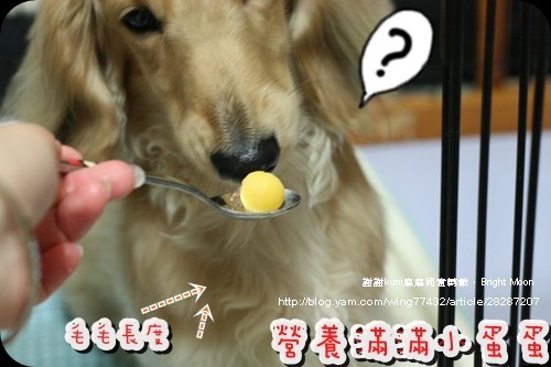 kuni麻麻鱉蛋_12.jpg kuni麻麻鱉蛋_12.jpg