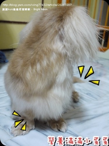 kuni麻麻鱉蛋_13.jpg kuni麻麻鱉蛋_13.jpg