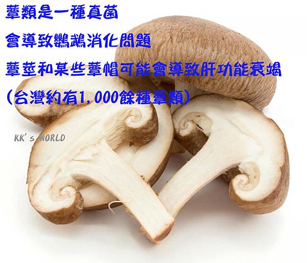 1-mushrooms.jpg