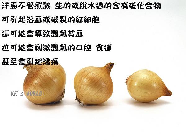 1-onions.jpg