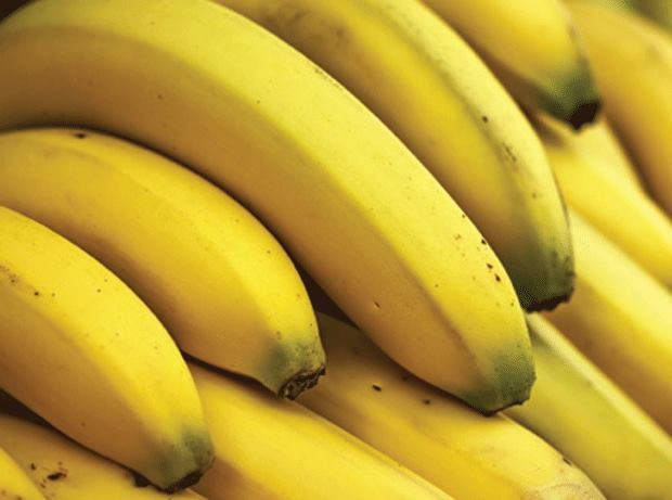 熟透的香蕉才能通便