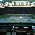 阪神 甲子園球場.jpg