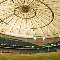 坦帕灣光芒主場Tropicana Field2.jpg