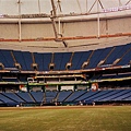 坦帕灣光芒主場Tropicana Field3.jpg