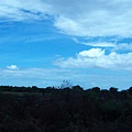 前往洞里薩湖(Tonle Sap)的天空(第一天下午)