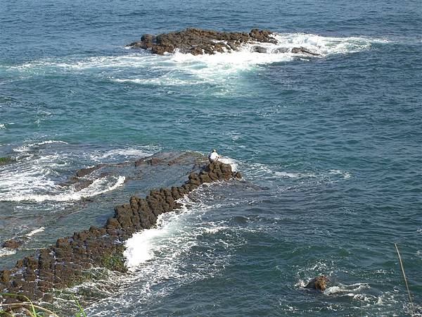 海浪滔滔(快沒成語了！)