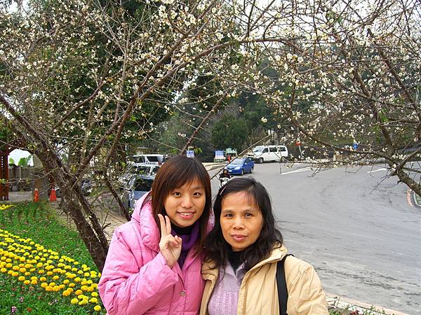 媽跟妹在梅花樹下
