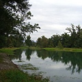 黑森林公園中的幽靜湖水