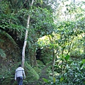 一開始感覺是條正常的山路