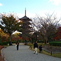 走進東寺的庭園及諸堂區要買門票，但非常值得