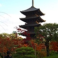 東寺最著名的五重塔，塔高57公尺，是全日本第一高的五重塔