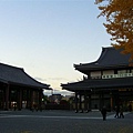 西本願寺的宗務總合廳舍(左)及參拜會館(右)