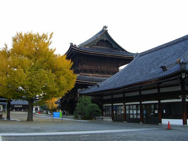 回望銀杏與雄偉的御影堂門。東本願寺正式名稱為真宗本廟，沒有山號