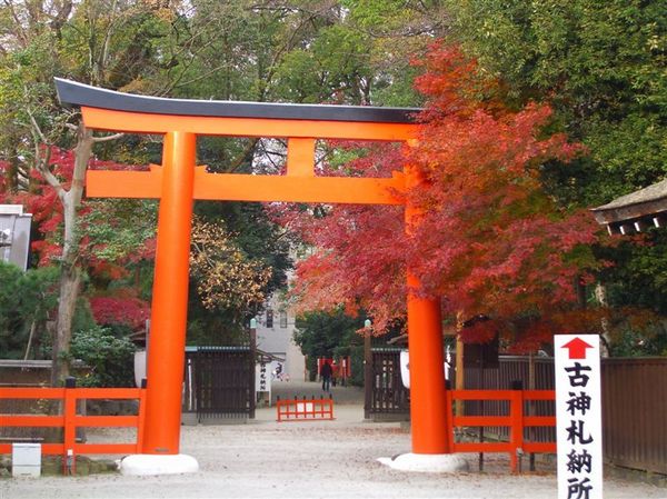 神社境內楓紅處處。下鴨神社最早為古代豪族賀茂氏的氏族神社，日本遷都京都後，成為京城的守護神社